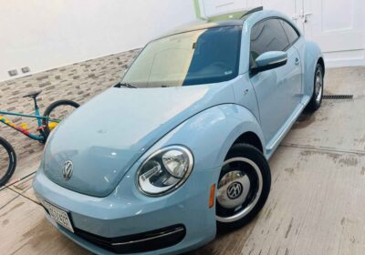 BEETLE-2013-1
