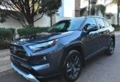 Toyota Rav4 Adventure AWD gris 2022