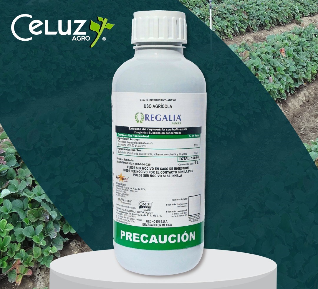 REGALIA MAXX (producto para el campo)