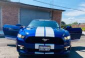 MUSTANG 𝐆𝐓 𝟐𝟎𝟏𝟓 𝐀𝐌𝐄𝐑𝐈𝐂𝐀𝐍𝐎