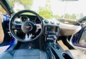 MUSTANG 𝐆𝐓 𝟐𝟎𝟏𝟓 𝐀𝐌𝐄𝐑𝐈𝐂𝐀𝐍𝐎