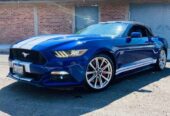 MUSTANG 𝐆𝐓 𝟐𝟎𝟏𝟓 𝐀𝐌𝐄𝐑𝐈𝐂𝐀𝐍𝐎