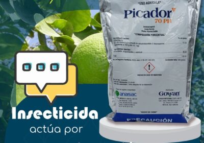 PICADOR